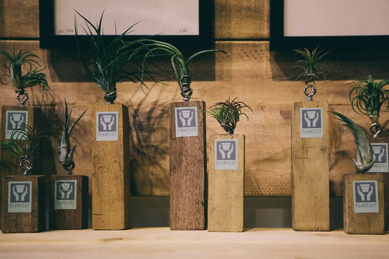 「The Problem with GOLD YARD」展覽回顧