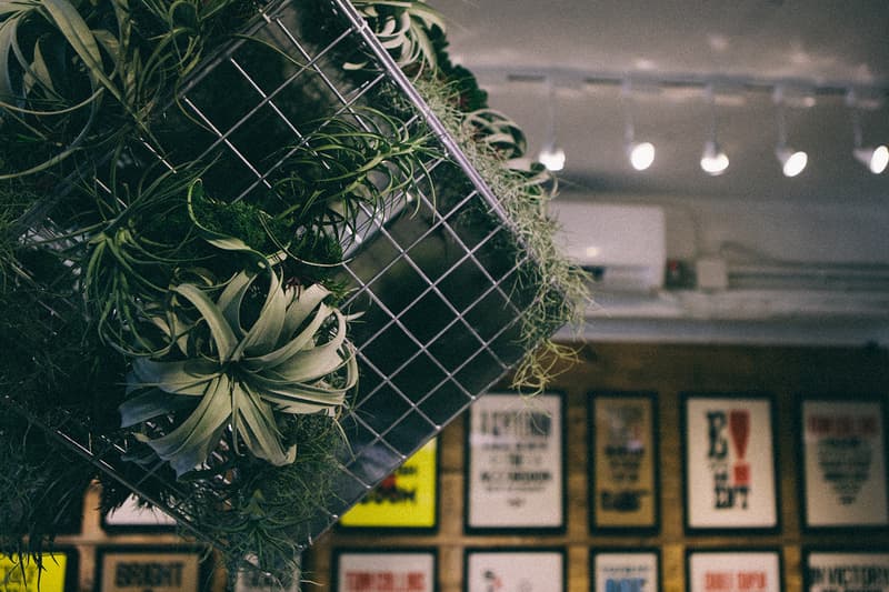 「The Problem with GOLD YARD」展覽回顧