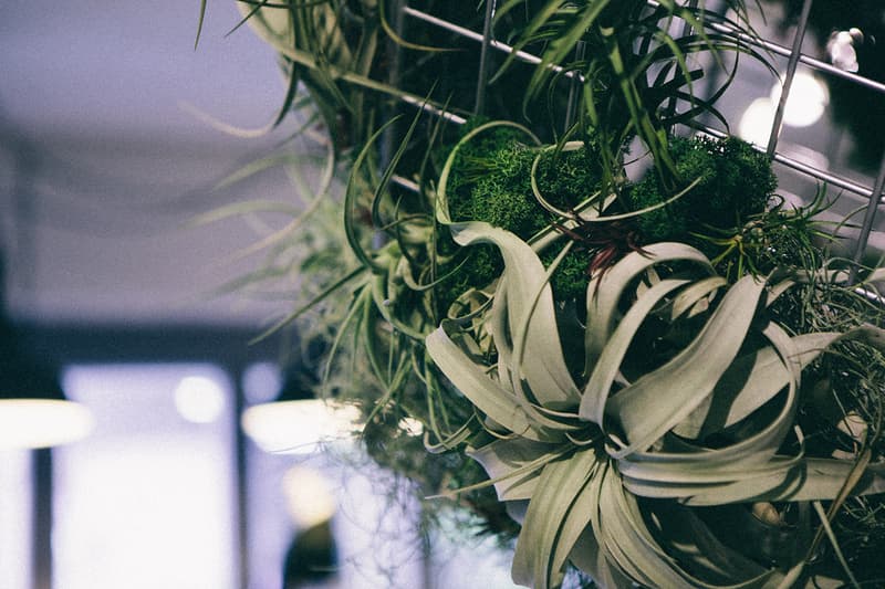 「The Problem with GOLD YARD」展覽回顧