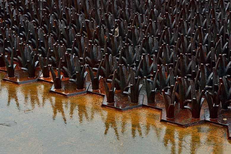 艾未未「F Grass」裝置展覽 @ Vancouver Biennale