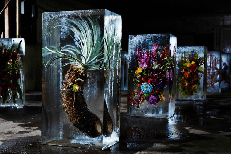 Azuma Makoto 花卉藝術裝置展覽「Iced Flowers」