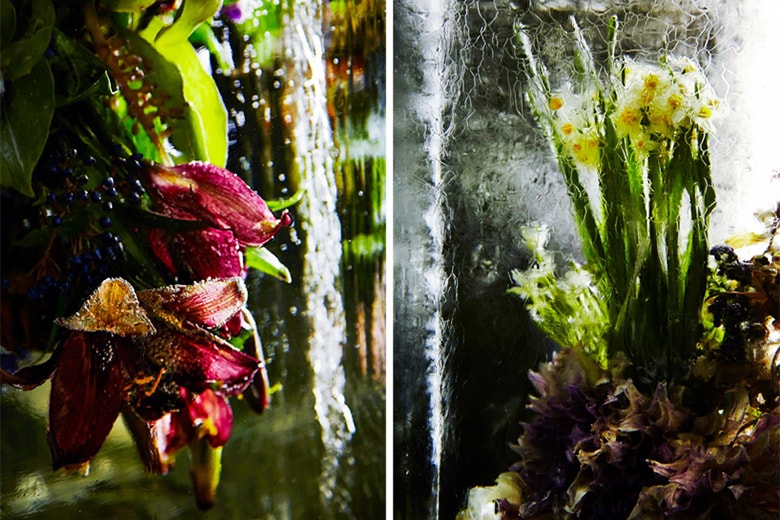 Azuma Makoto 花卉藝術裝置展覽「Iced Flowers」