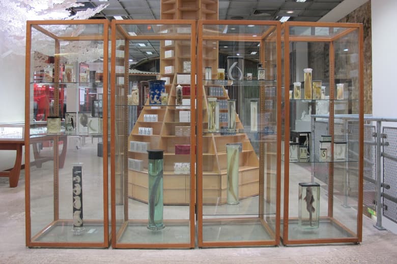 Dover Street Market 2015 春夏全新店面形象「Tachiagari」