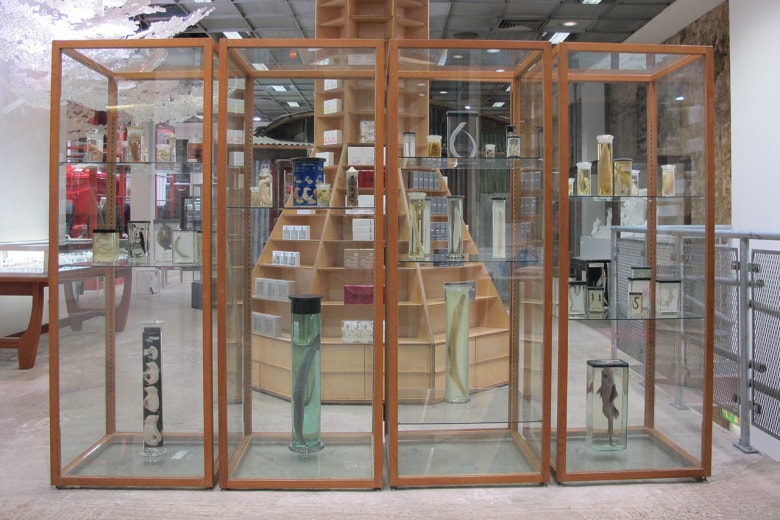 Dover Street Market 2015 春夏全新店面形象「Tachiagari」