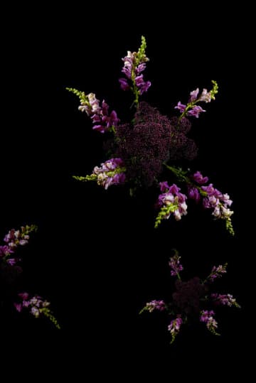 Sarah Illenberger 藝術創作「Flowerwork」