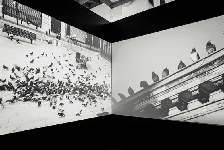 RERO「Gated Community」藝術展覽 @ Fabien Castanier Gallery