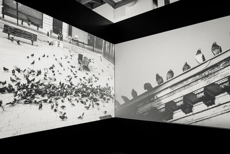 RERO「Gated Community」藝術展覽 @ Fabien Castanier Gallery