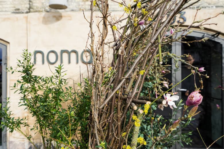 Club Monaco x Noma 期間限定店