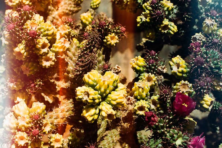 MATIX 2015 春季「Secondhand Exposure」造型搭配 Lookbook