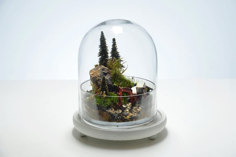Quest Terrarium 密封盆景