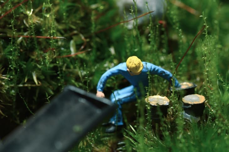 Quest Terrarium 密封盆景