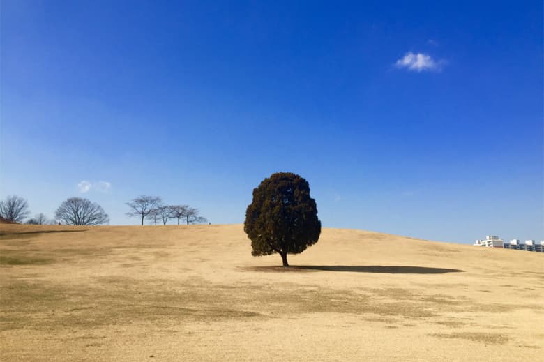 蘋果發佈「World Gallery」最新宣傳廣告