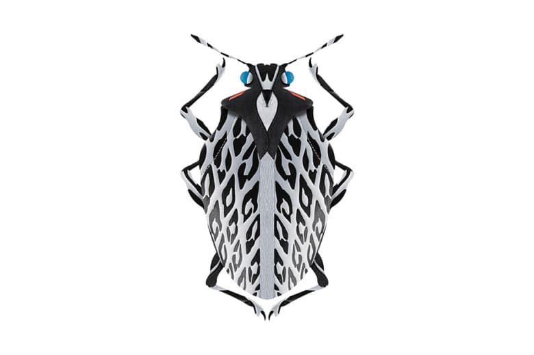 Filfury 創作球鞋概念圖形藝術