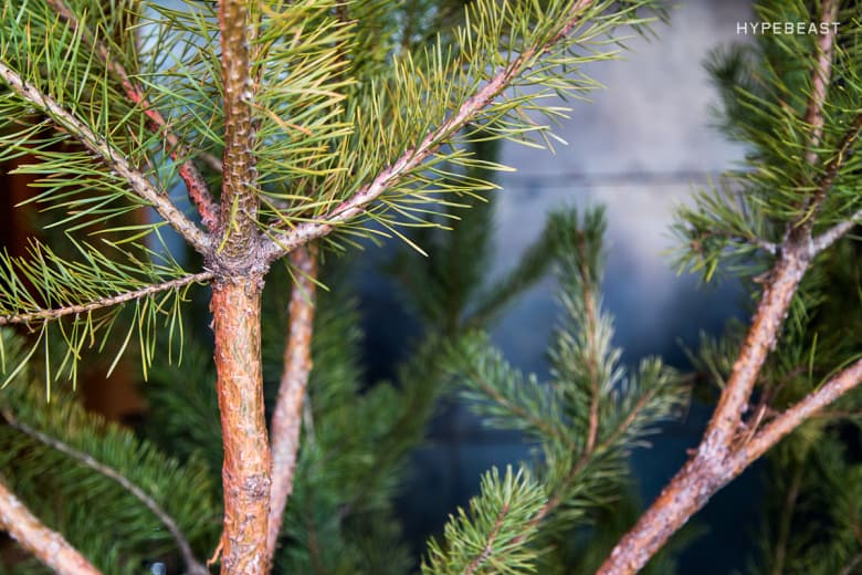 Concepts x Timberland「Purple Eggplant」Pop-Up 期限店