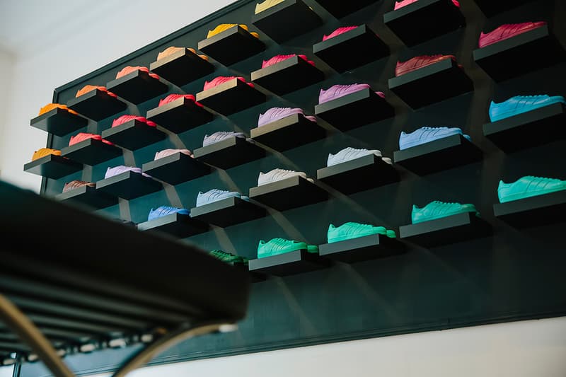 Pharrell Williams  x adidas Originals Superstar「Supercolor」別注系列澳洲發布會