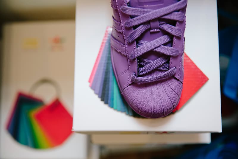 Pharrell Williams  x adidas Originals Superstar「Supercolor」別注系列澳洲發布會