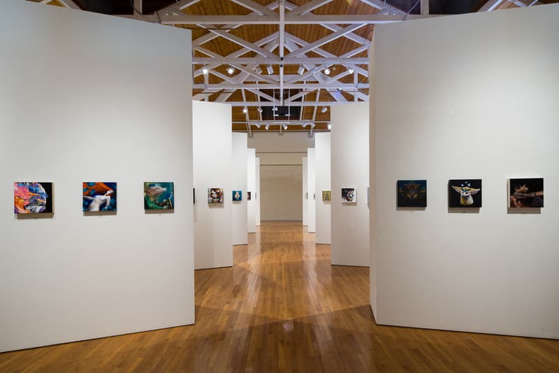 POW! WOW! Hawai'i 2015 藝術節活動現場回顧