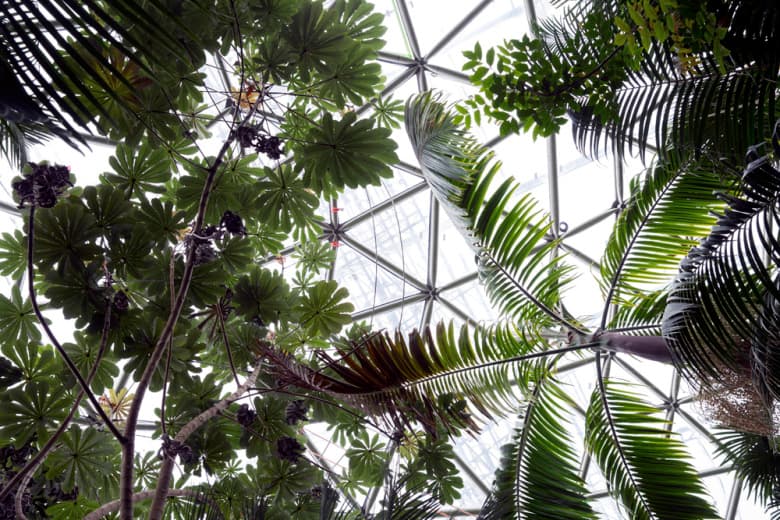 Ransom 2015 春季系列造型搭配 Lookbook