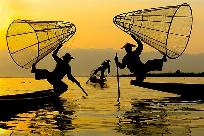 Sony 2015 年世界攝影大賽獲獎名單