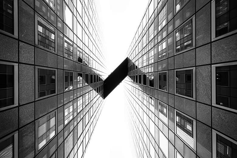 Sony 2015 年世界攝影大賽獲獎名單