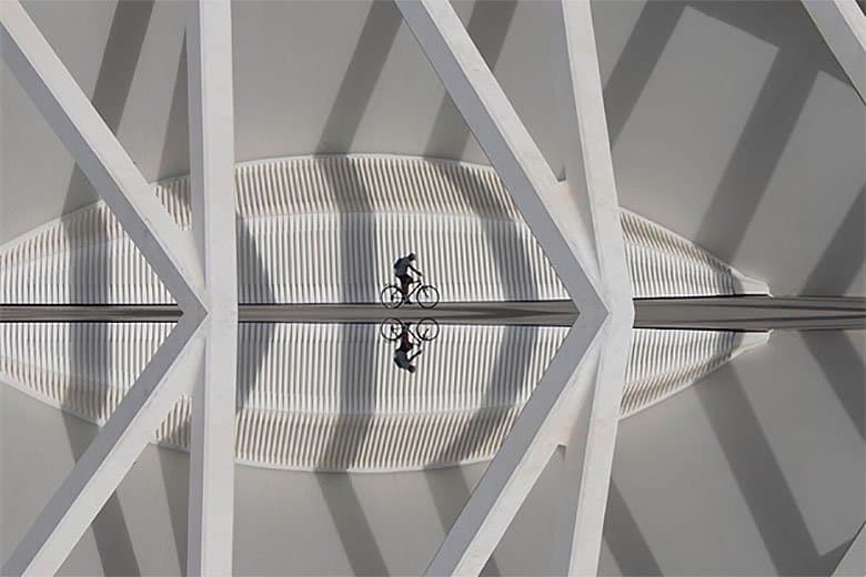 Sony 2015 年世界攝影大賽獲獎名單