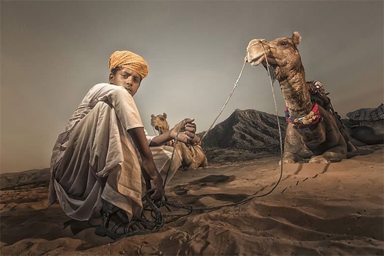 Sony 2015 年世界攝影大賽獲獎名單