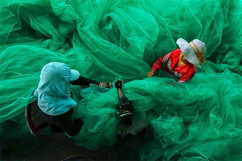 Sony 2015 年世界攝影大賽獲獎名單