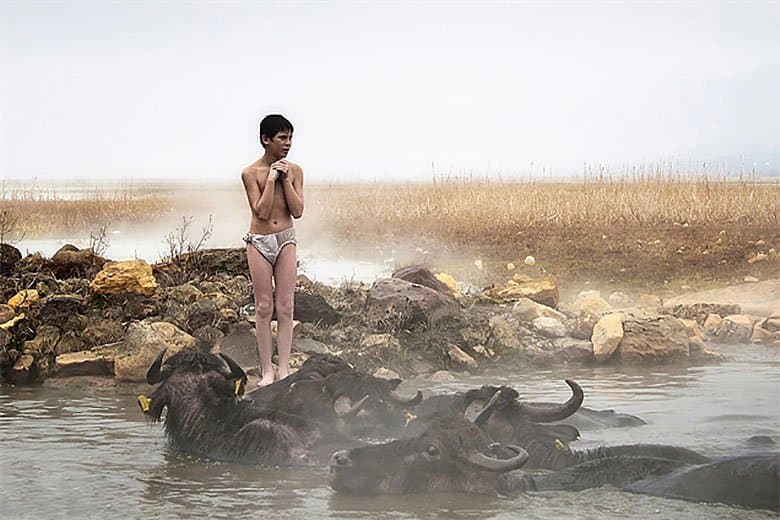 Sony 2015 年世界攝影大賽獲獎名單