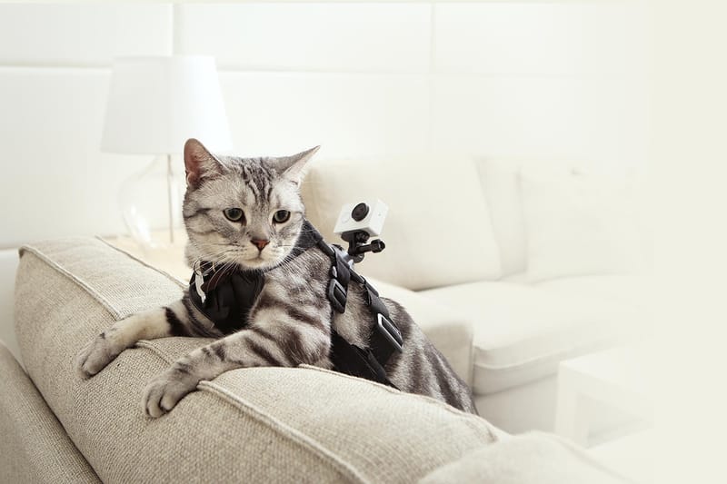 小米推出售價僅為 399 人民幣的小蚊運動相機