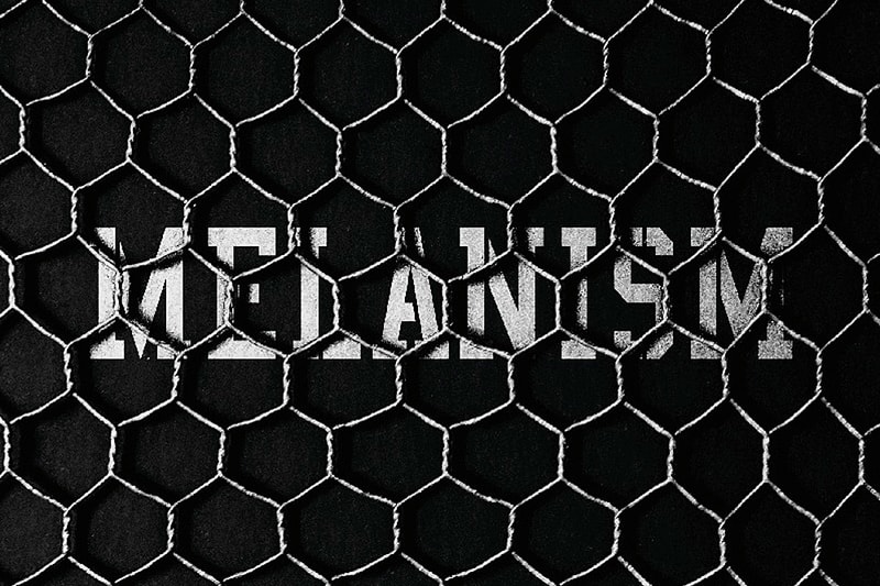 Black Mountaineering by White Mountaineering 將於 the POOL aoyama「MELANISM」主題店鋪正式發佈