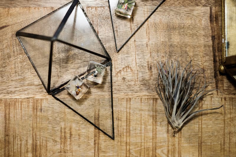 Ferment Store 台北精品店開幕