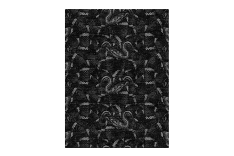 Marcelo Burlon County of Milan x Illulian 聯名地毯系列