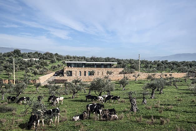 platau 打造黎巴嫩 Zgharta 住宅