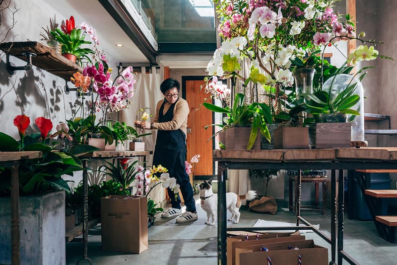 adidas Originals 2015 春夏 Superstar 造型特輯