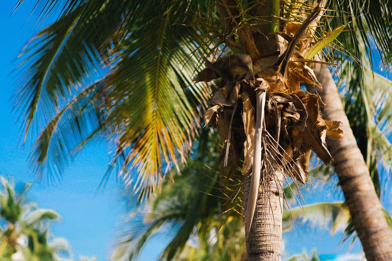 ROARINGWILD 2015 春夏系列造型搭配 Lookbook