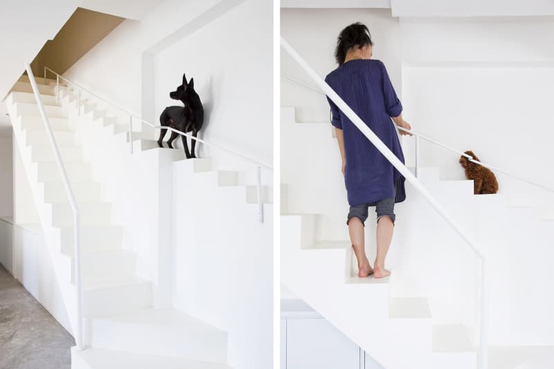 越南復式公寓內建造寵物狗專用樓梯