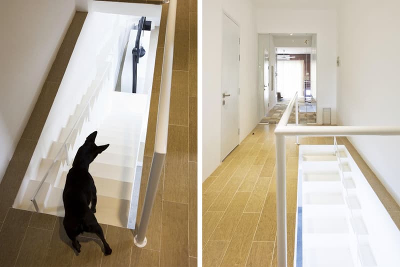 越南復式公寓內建造寵物狗專用樓梯