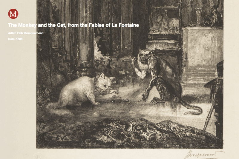 Meow Met  - 無料引貓入 Chrome 