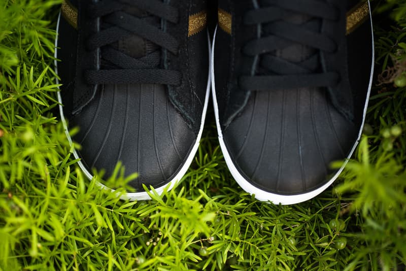 adidas Skateboarding Superstar Vulc ADV 滑板鞋