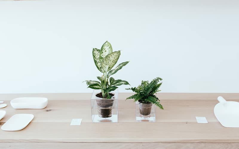 洛杉磯家居店鋪 Formerly Yes 