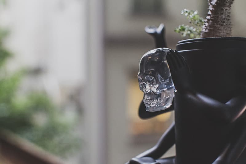 Prodip 線上獨家專訪