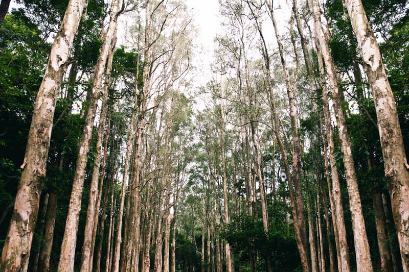 MANASTASH 2015 秋冬系列新品上架