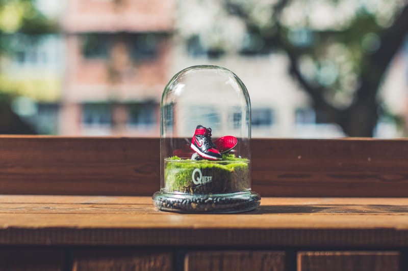 Quest Terrarium x WOAW Air Jordan 盆景 D.I.Y. 工作室開催
