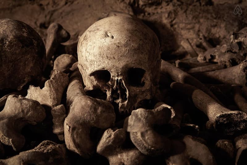 AirBnb 於巴黎地下穴墓打造萬聖節夜主題客房