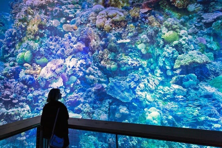 萊比錫 Panometer 展覽空間 1:1 比例複製大堡礁海底世界
