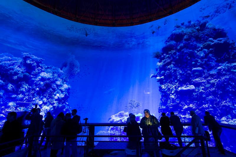 萊比錫 Panometer 展覽空間 1:1 比例複製大堡礁海底世界