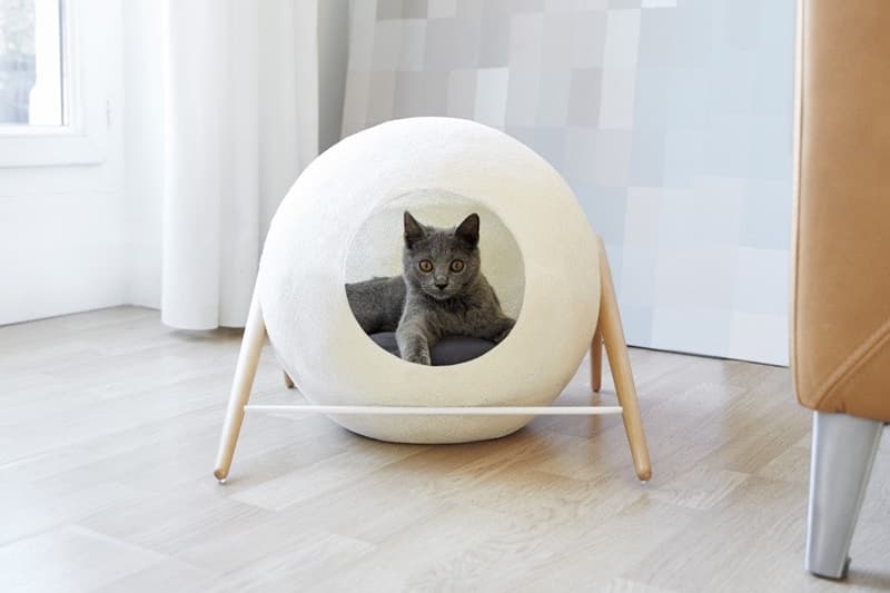 meyou 為寵物貓打造家具「三件套」