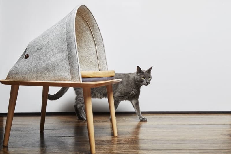 meyou 為寵物貓打造家具「三件套」