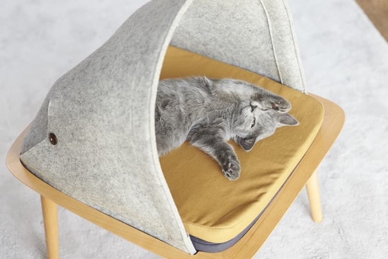 meyou 為寵物貓打造家具「三件套」