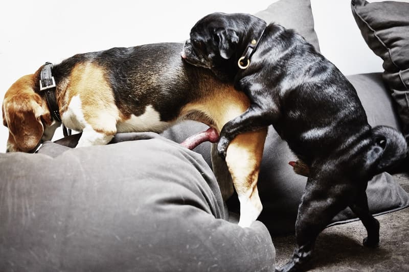 走進 Rick Owens 巴黎住所